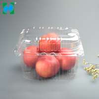 Chinese supplier kitchen product takeaway PET Plastic Fruit Clamshell food containers with lid