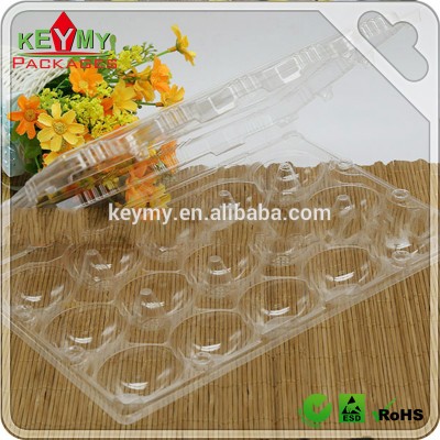 wholesale disposable eco-friendly customize plastic clear food tray,clear apple plastic food packaging tray