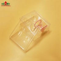 customize transparent blister packaging for cosmetic products with covers in Shenzhen