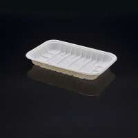 Plastic Blister Disposable Degradable Food Tray